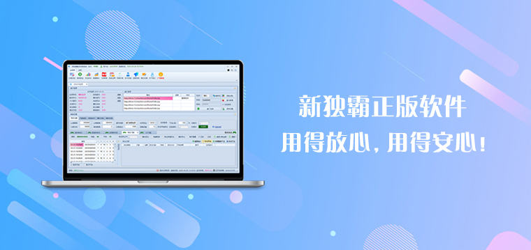 新独霸正版软件